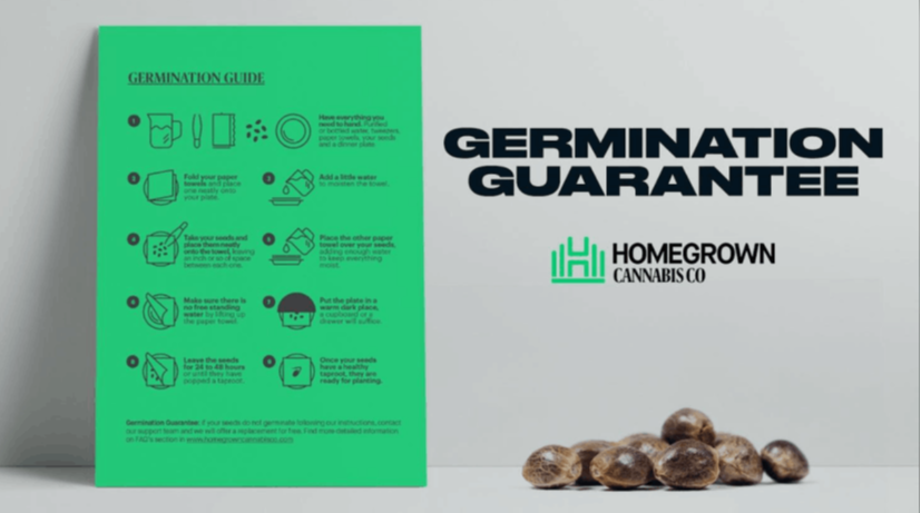 Homegrown Cannabis Co. review featuring cannabis seed products